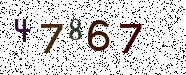Visual Confirmation Security Code